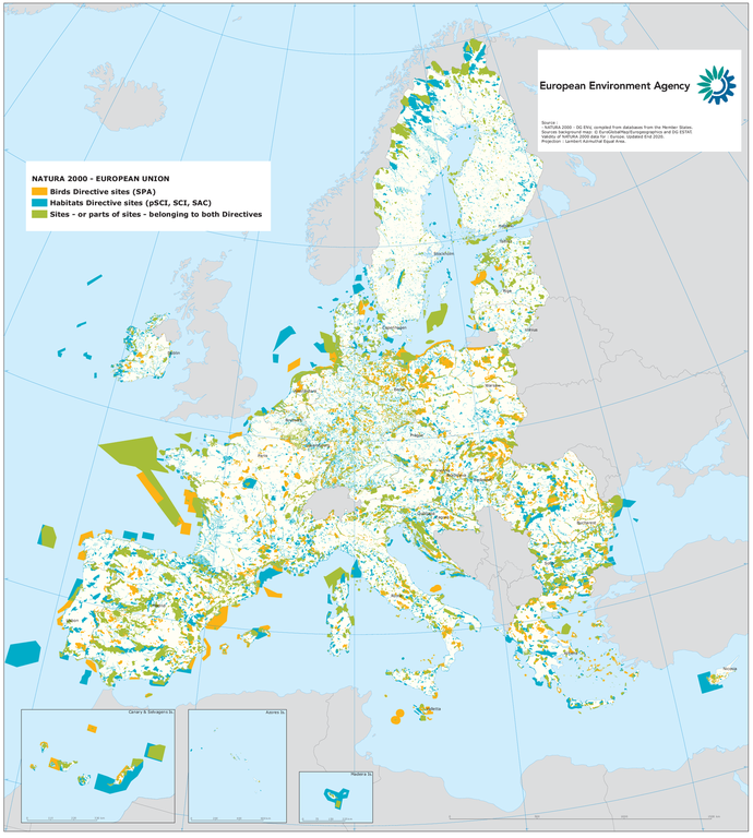 European Environmental Agency (EEA dati fine 2020)