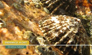 Foto M. Chiantore @RELIFE Foto M. Chiantore @RELIFE