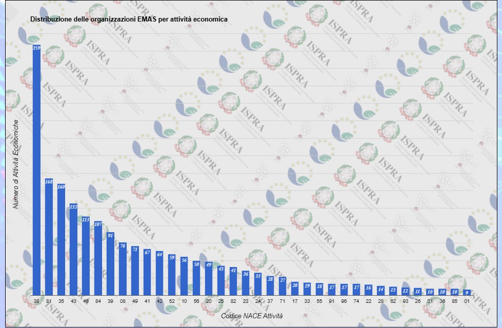 Distribuzione per attività economica.jpg