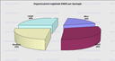 Organizzazioni per tipologia