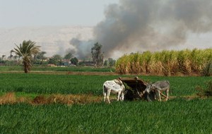 Environmental and soil management systems