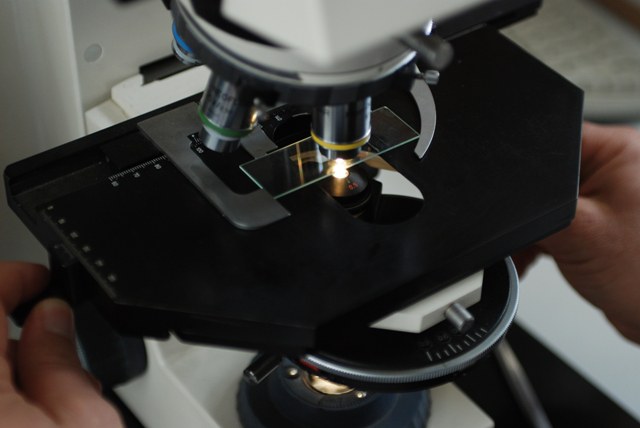 Analisi laboratorio 1