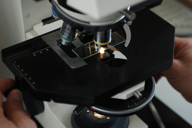 Analisi laboratorio 1