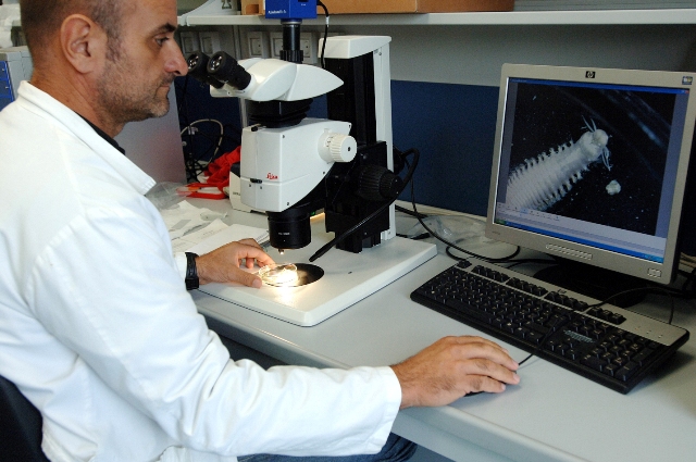 Analisi laboratorio 2