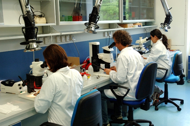 Analisi laboratorio 3