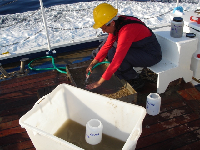 setacciatura del campione