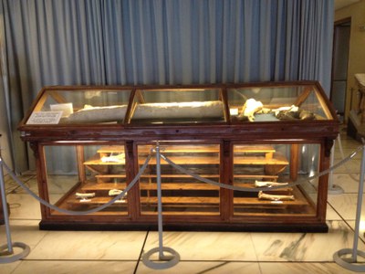 Urna a vetrina Urna a vetrina