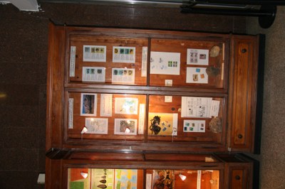 Vetrina 2 ante B Vetrina 2 ante B