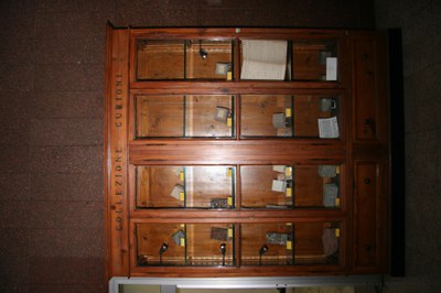 Vetrina 4 ante vetro Vetrina 4 ante vetro