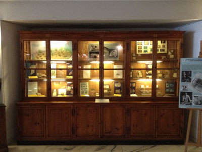 Vetrina 6 ante Vetrina 6 ante