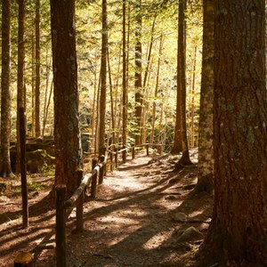 Ecomuseo della Montagna Pistoiese