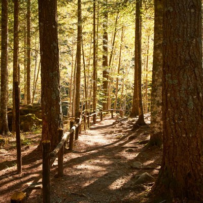 Ecomuseo della Montagna Pistoiese