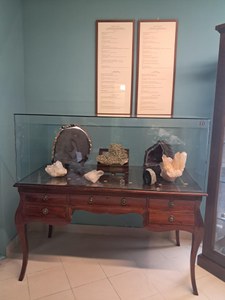 “Museo di Storia Naturale dello Stretto di Messina nell’Area del Mediterraneo – Polo di Messina”