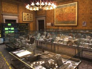 Museo Paleontologico 'M. Gortani'