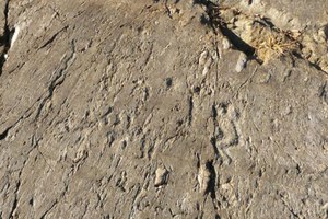 Parco Archeologico e Minerario di Sellero