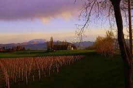 Parco del Monte Netto