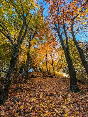 Parco naturale del Monte Fenera