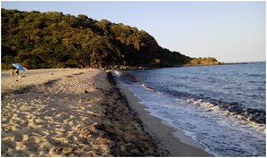 Posidonia oceanica spiaggiata: la gestione degli accumuli e la valorizzazione