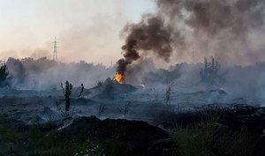 Attività di monitoraggio ISPRA