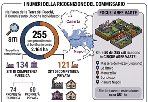 infografiche infografiche