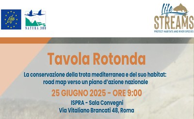 La Conservazione della Trota mediterranea e il suo habitat: roadmap verso un piano d’azione nazionale