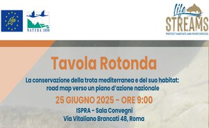 La Conservazione della Trota mediterranea e il suo habitat: roadmap verso un piano d’azione nazionale