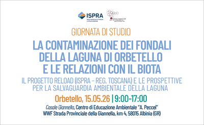 La contaminazione dei fondali della laguna di Orbetello e le relazioni con il biota