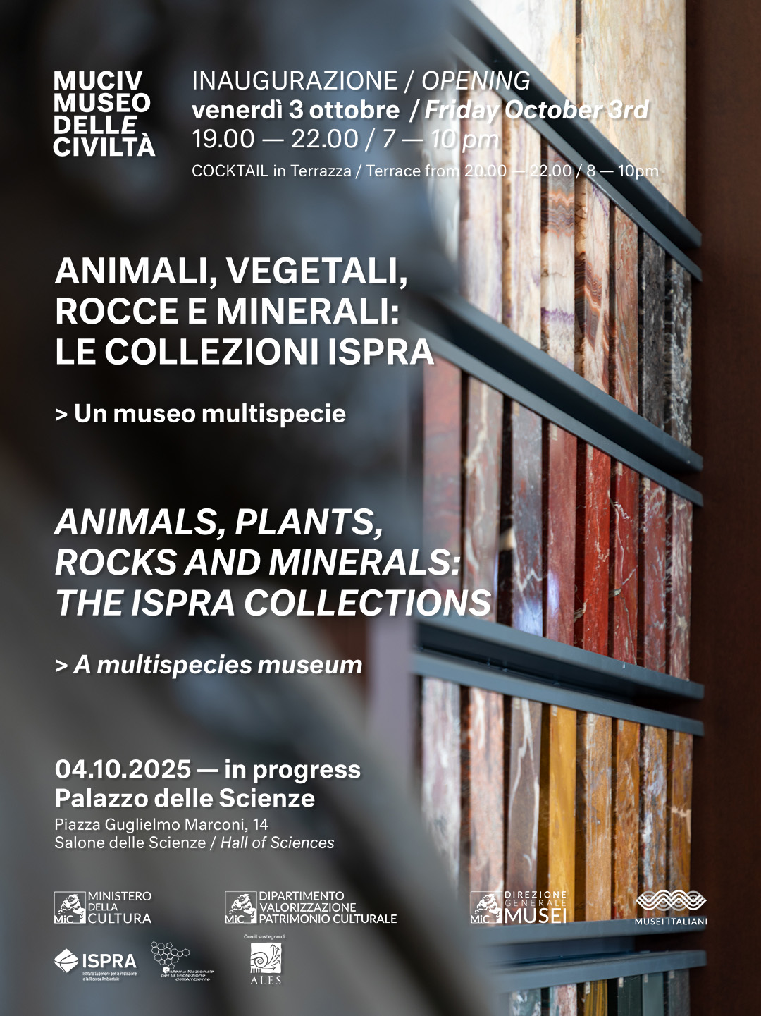 locandina inaugurazione Rocce e Minerali.jpg