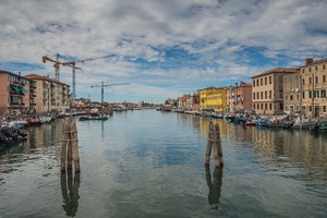 Ricerca, biodiversità e cambiamento ambientale - focus sulla laguna di Venezia