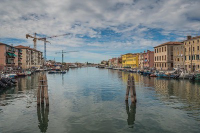 Ricerca, biodiversità e cambiamento ambientale - focus sulla laguna di Venezia