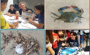 Specie aliene e rifiuti marini: gioca, impara, proteggi