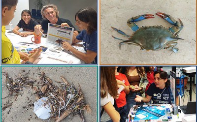 Specie aliene e rifiuti marini: gioca, impara, proteggi