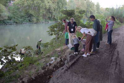 Tevere, molluschi fantastici e dove trovarli