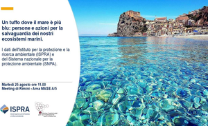 Un tuffo dove il mare è più blu: persone e azioni per la salvaguardia dei nostri ecosistemi marini