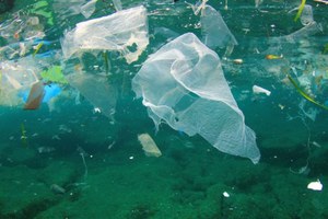 Plastiche e rifiuti in mare: l’ISPRA di Chioggia presenta i risultati dei Progetti di cui è partner