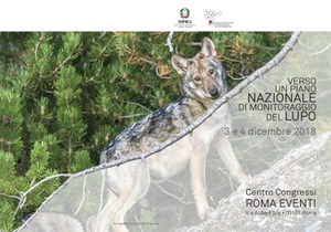 Verso un piano nazionale di monitoraggio del lupo 
