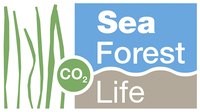 SeaForest 