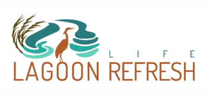 Video di lancio del progetto Life Lagoon Refresh