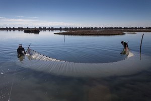Laguna di Venezia: iniziata l’immissione d’acqua dolce per favorire il ripopolamento di specie ittiche e di uccelli