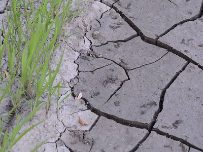 Desertificazione e degrado del suolo: circa 500 milioni di persone vivono in aree di grave deterioramento