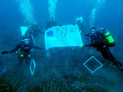 Posidonia oceanica: come stanno i 30 mila mq di trapianti?  Presentati i risultati del progetto LIFE SEPOSSO