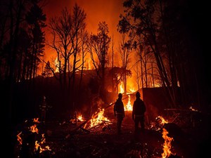 Aggiornamento incendi 2025 in Italia: aumentano le superfici in fumo e gli impatti sulle foreste rispetto al 2024. Sono sedici le regioni colpite da incendi
