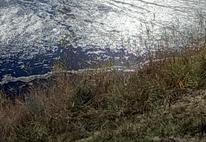 Individuare le priorità nelle bonifiche da oggi è realtà: ISPRA lancia rocks, il primo software per i siti potenzialmente contaminati