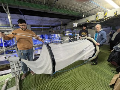 Il mare in laboratorio: il mesocosmo, un ecosistema in miniatura per produrre plancton