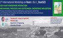 1° Workshop Internazionale RootS23 - "Soil-Plant-Atmosphere Interaction: mechanisms, processes and geotechnical engineering implications" 1° Workshop Internazionale RootS23 - "Soil-Plant-Atmosphere Interaction: mechanisms, processes and geotechnical engineering implications"