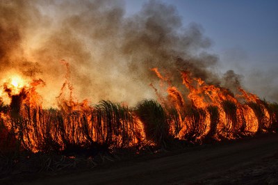 Acerra accoglie Papa Leone XIV: ISPRA e SNPA ribadiscono il proprio impegno per la Terra dei Fuochi