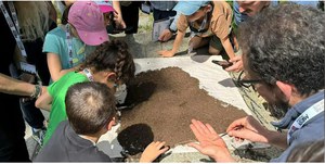 Biodiversità a Torino: due City Nature Challenge a confronto
