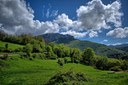 Challenges in the Measurement of Nature in Official Statistics