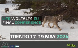 Conferenza finale del Progetto LIFE WolfAlps EU
