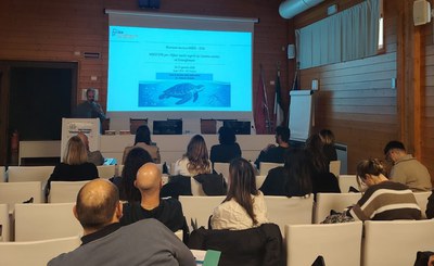 Confronto sui rifiuti marini ingeriti da Caretta caretta e sugli impatti antropici